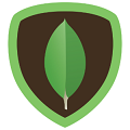 MongoDB logo